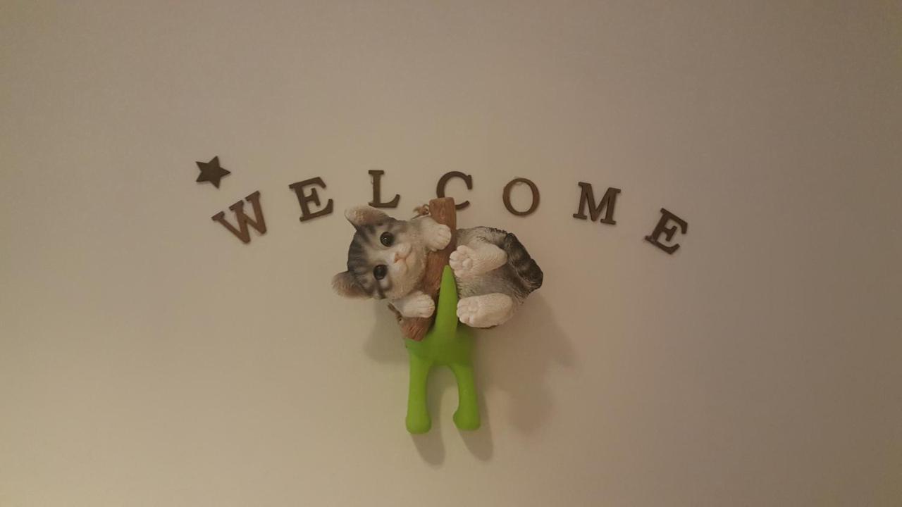 I Sleep Alone Guest house